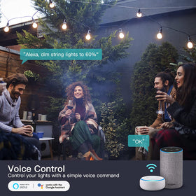 TREATLIFE voice control to adjust brightness and power for ambiance.