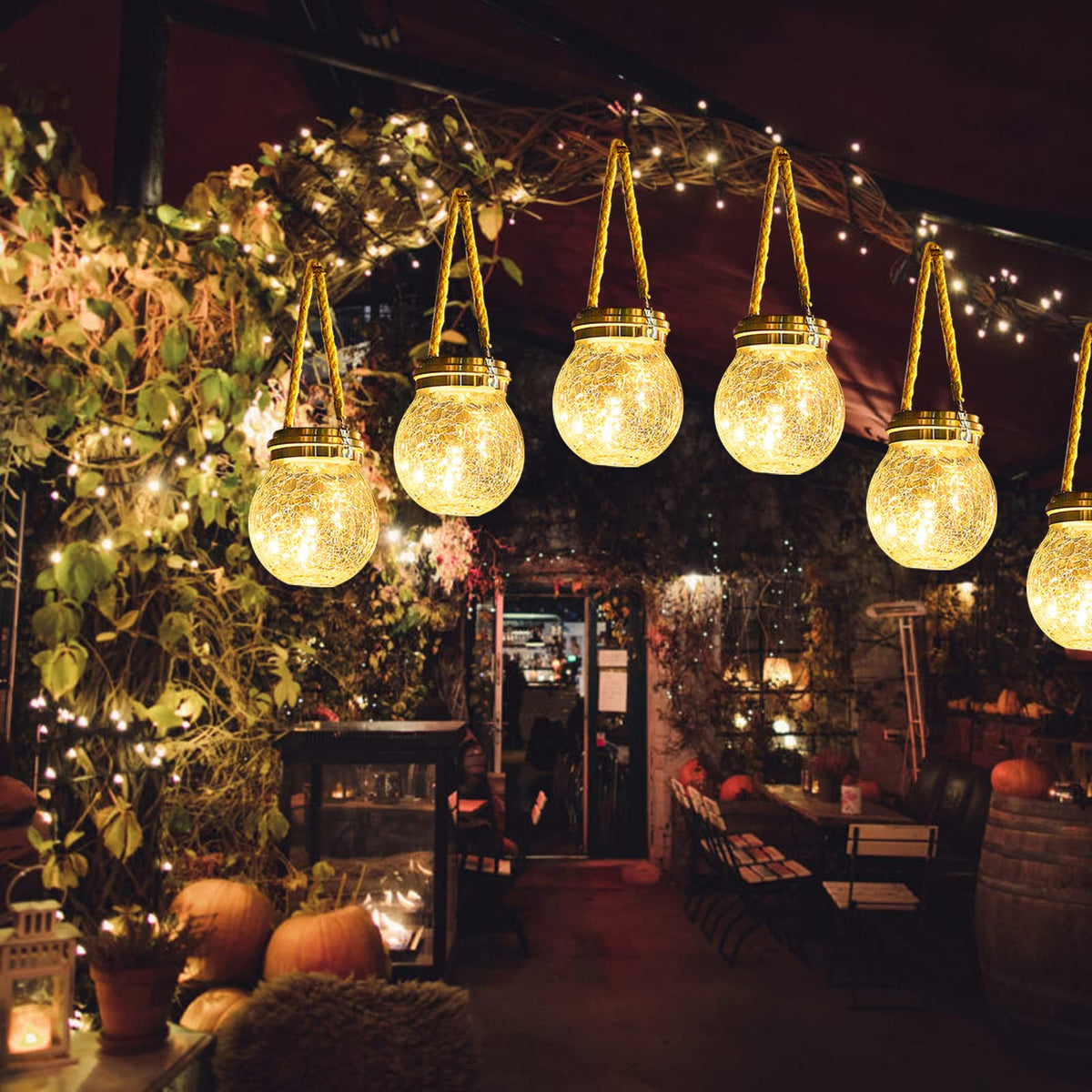 Tremdwoto bright glow at night enhances backyard charm.
