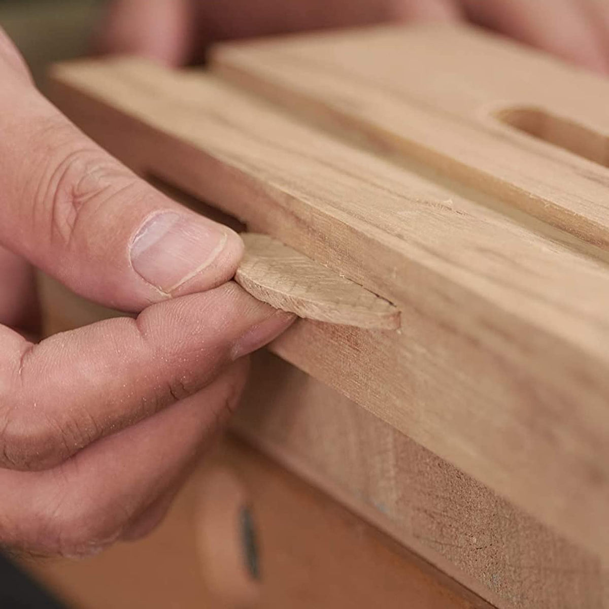 TREND Beechwood biscuit No.20 pack front for heavy-duty frame joints