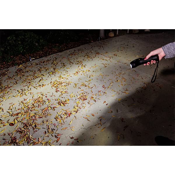 Three-bulb TL800 setup provides versatile illumination