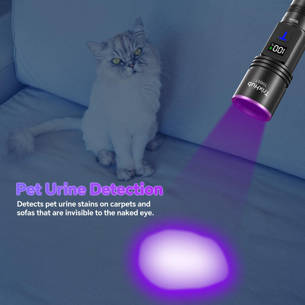 TrixHub pet urine detection on rugs highlights stains for quick cleaning