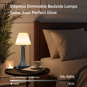 TRRMEZY lamp offers warm natural and cool white settings