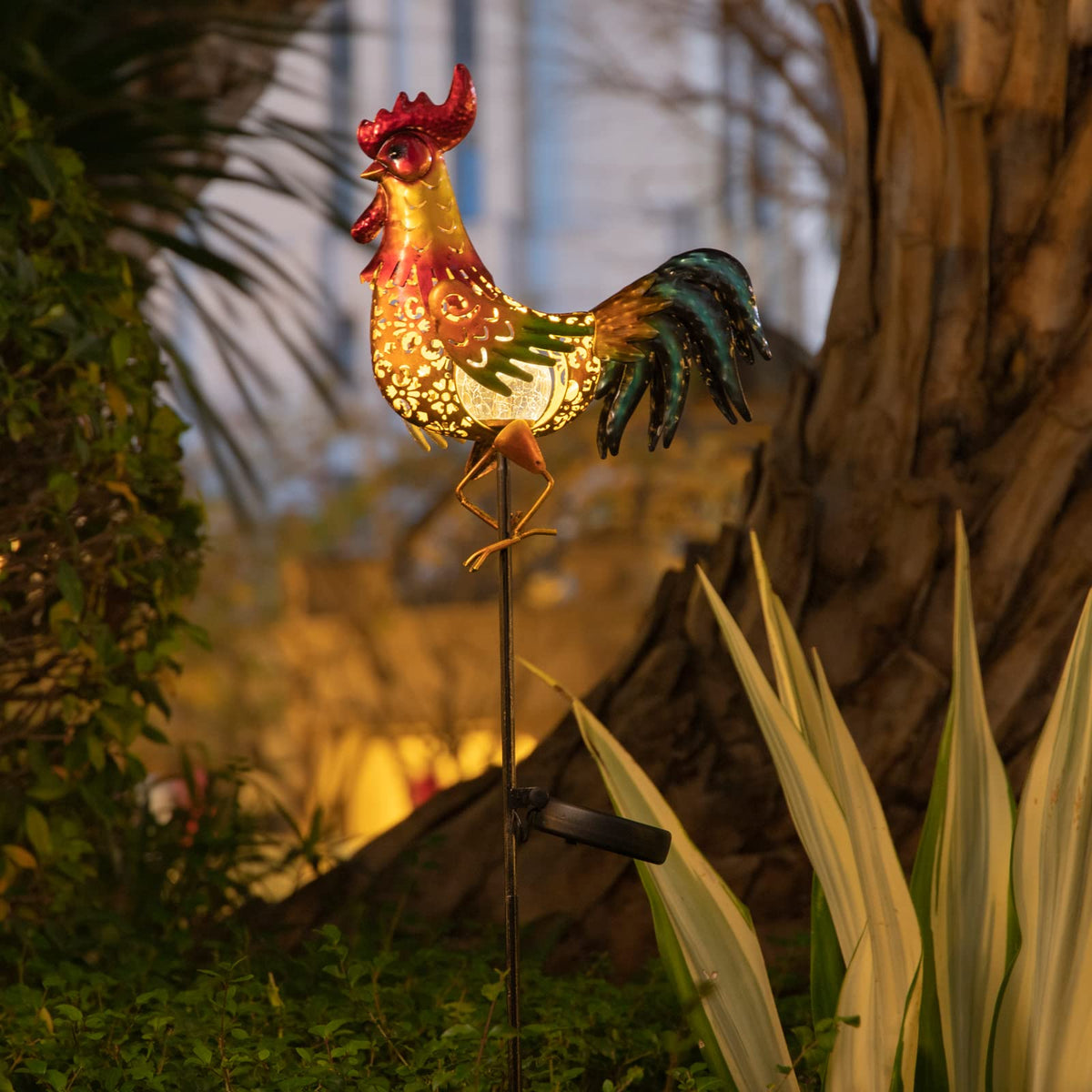 Tryme rooster gift-ready packaging makes a thoughtful gardening or chicken lover gift.