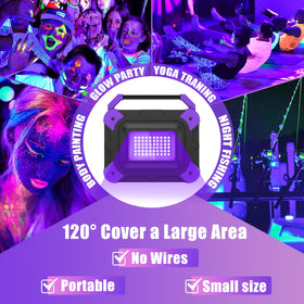 T-SUN IP65 waterproof black light resists rain and snow outdoors