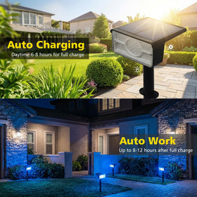 T-SUN solar spot lights driveway outline for curb appeal and visibility