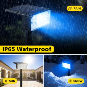 T-SUN IP65 waterproof solar lights endure rain and snow year-round