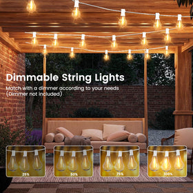 Tswayflort 53 LEDs provide energy-efficient warm white illumination.