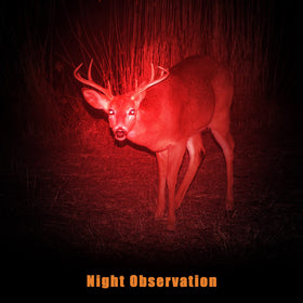 Tuanse red light flashlight ideal for beach turtle night viewing.