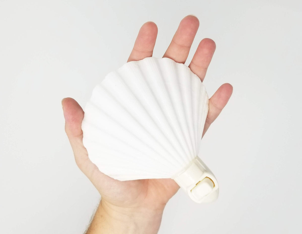 Tumbler Home Clam Shell Lamp on table showcases soothing, subtle illumination