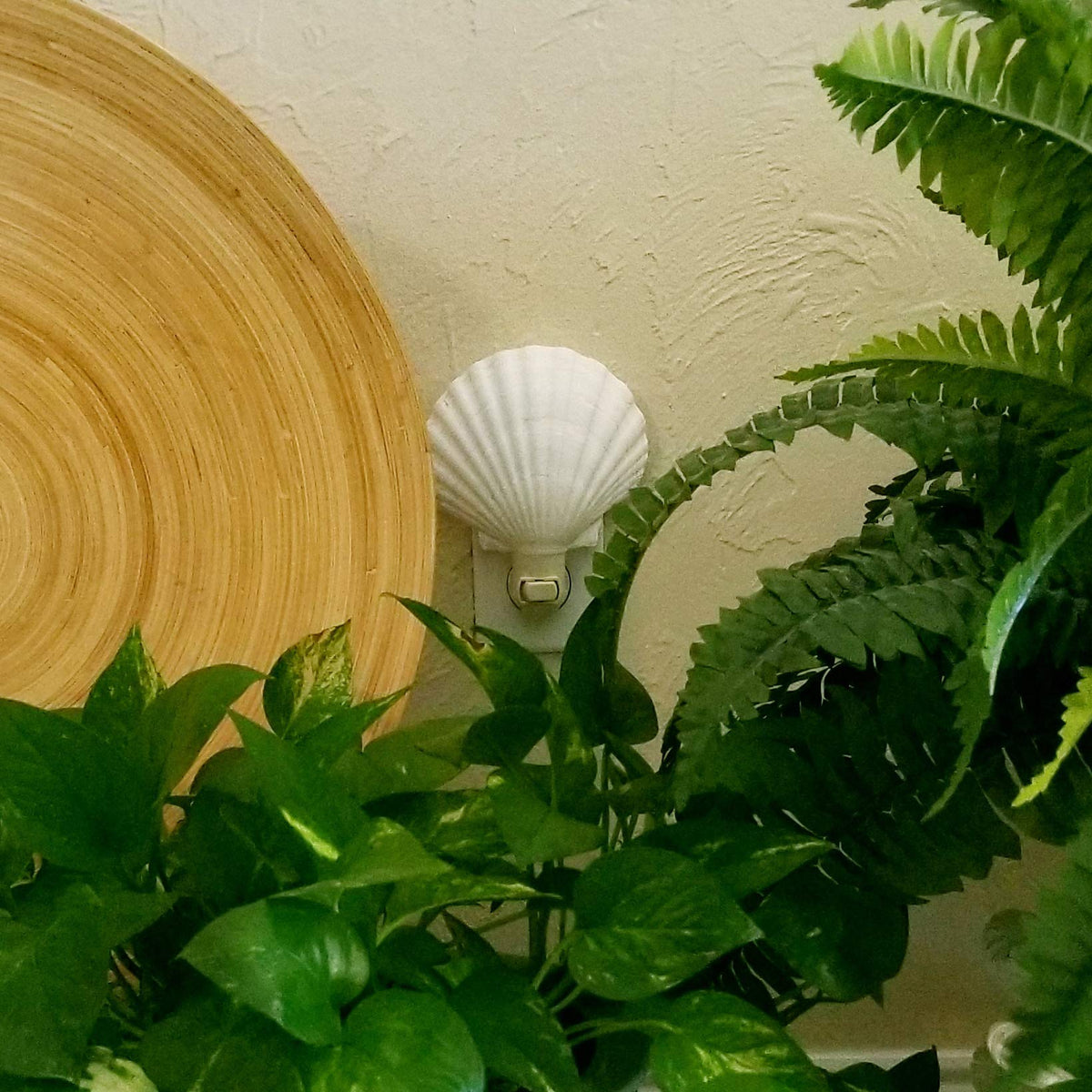 Tumbler Home Soft glow night light guiding paths at night