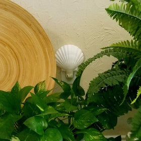 Tumbler Home Soft glow night light guiding paths at night
