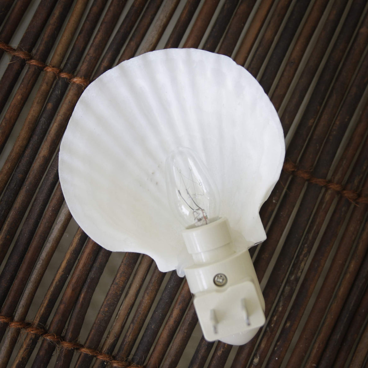 Tumbler Home UL-listed shell light ensures safe glow in any room