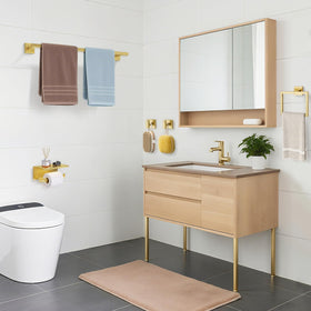 TURS Brushed Gold 5-Piece Set square design for modern bathroom style