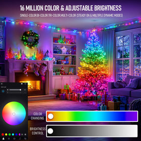 TW SHINE 100 LED 33ft color-changing string lights for indoor and outdoor decor