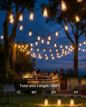 TW SHINE 180 degree rotatable solar panel optimizes sun exposure for charging