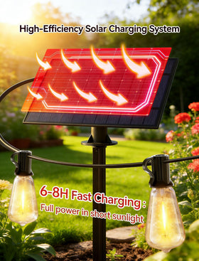 TW SHINE 31+2 LED bulbs deliver durable, weatherproof illumination for outdoor areas