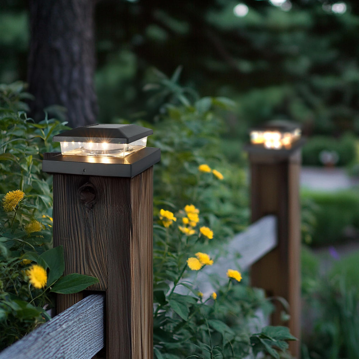 TW SHINE garden path glow from solar post cap light enhances safety.