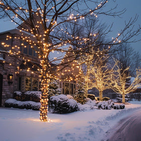 TW SHINE versatile lighting for weddings, holidays, and celebrations.