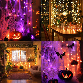 TW SHINE warm white and RGB options for versatile seasonal decor.