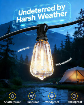 TW SHINE IP65 waterproof design keeps lighting bright in rain or snow