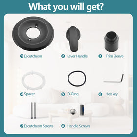 Reveal of matte-black Ultrimkit shower trim kit for updated bathroom aesthetics