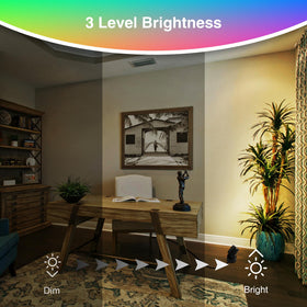 Plug-in 120V URTOM uplight ideal for parties, plants, and photos