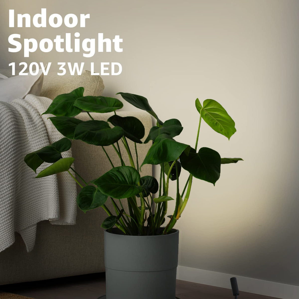 URTOM floor spotlight provides a 90-degree beam for wall art and decor.