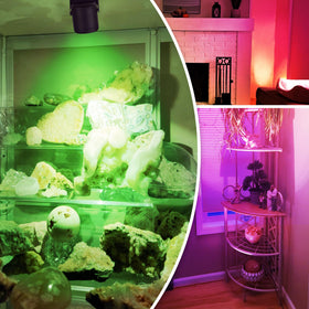 URTOM 120V LED uplights fit party spaces.