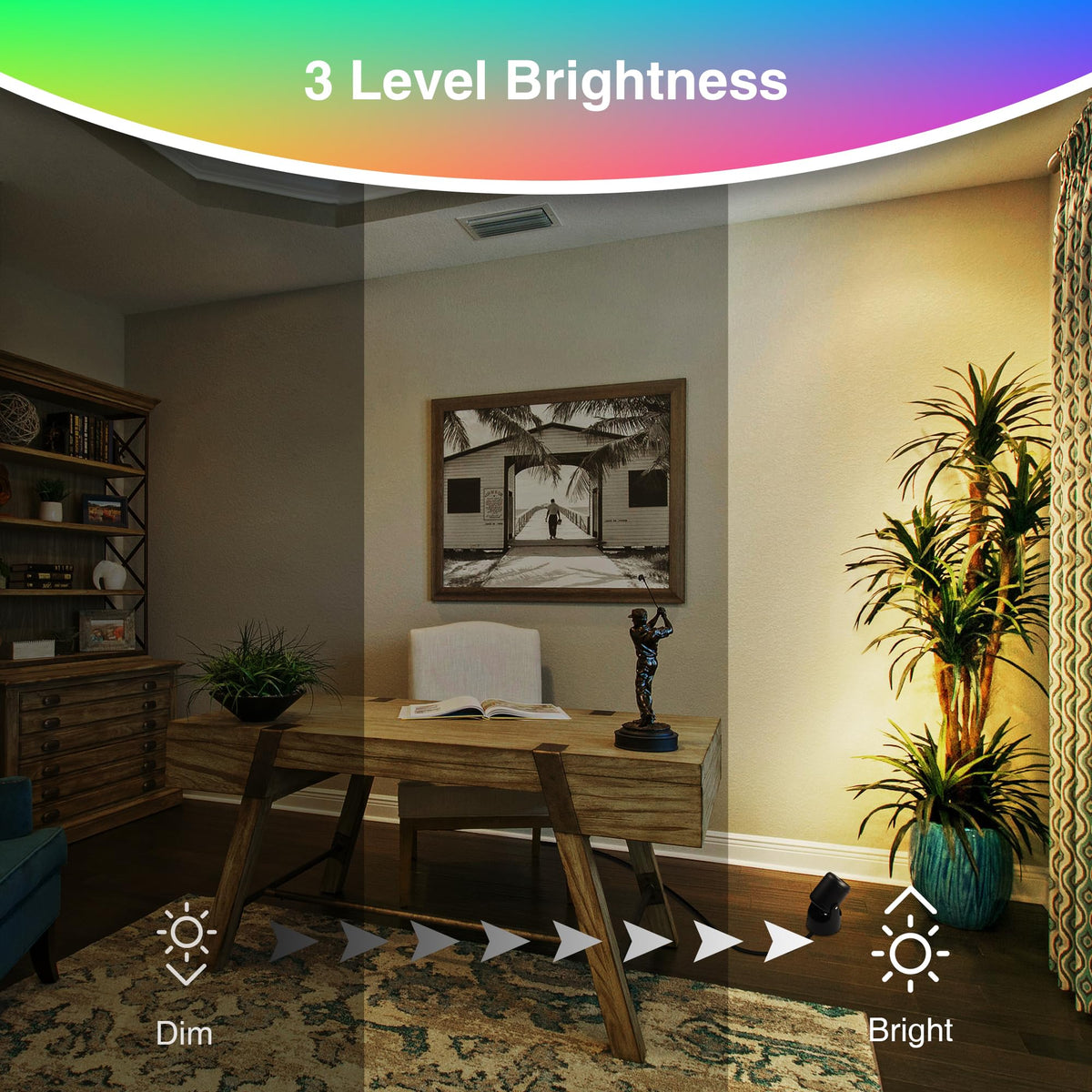 URTOM adjustable angle highlights plants, shelves, or art.