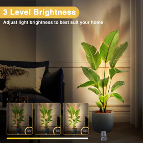 URTOM warm white 3000K setting provides soft mood lighting for evenings and relaxing spaces.