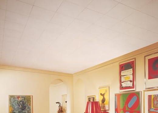 USG Interiors natural finish ceiling tile 12x12 for flexible décor options.