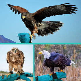 Uzhika professional-grade gloves ideal for veterinarians and animal care professionals