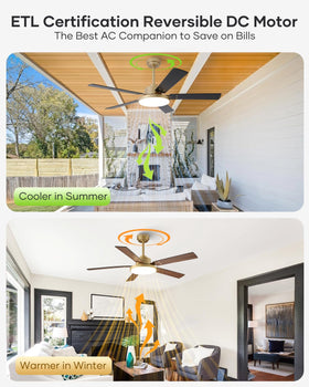 Vaczon 52-inch gold ceiling fan includes 6-inch and 10-inch downrods