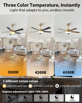 Vaczon 52-inch gold ceiling fan remote and app control for convenient operation