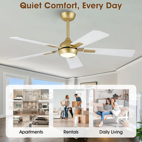 Modern, low-profile Vaczon design suits contemporary bedrooms and living rooms