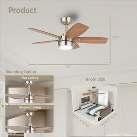 Vagizm 36'' ceiling fan with reversible motor for year-round comfort