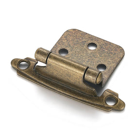 Vallecloud antique brass hinge close-up with self closing action