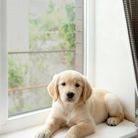 Vaniture breathable window screen preserving airflow and outside visibility.