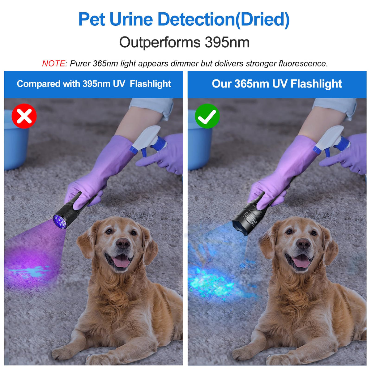 Vansky X7 Pro UV light shows pet urine traces for thorough cleanup
