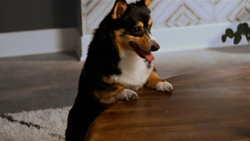 Varathane Triple Thick polyurethane ideal for furniture protection and surface longevity.