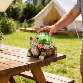Vasesun turtle gift-ready statue for gifting occasions.