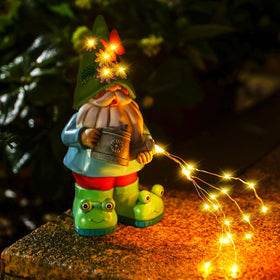 Vcdsoy garden path softly illuminated by the gnome.