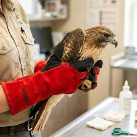 vclpower Animal Handling Gloves puncture-resistant cowhide defends against sharp bites