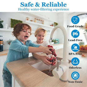 Vegebe installation flush instruction guides proper pre-use flushing.