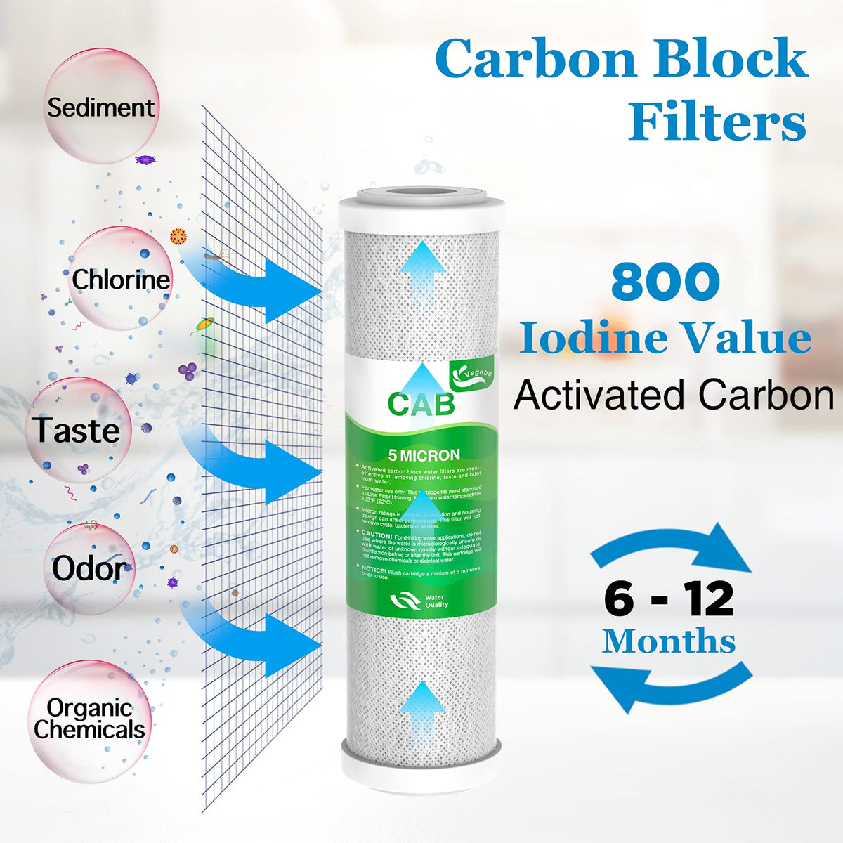 Vegebe RO membrane 50 GPD delivers efficient high-volume purification.
