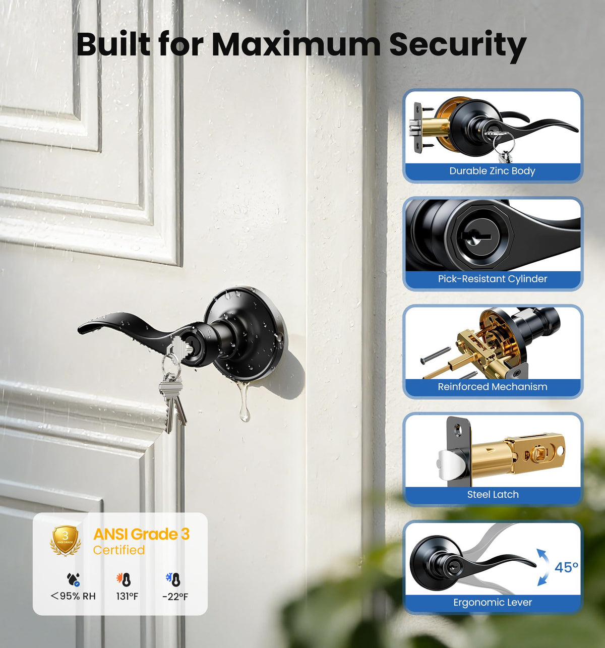 Anti-pick protection highlighted on Veise Keyed Entry Door Lever.