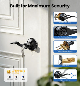 Anti-pick protection highlighted on Veise Keyed Entry Door Lever.