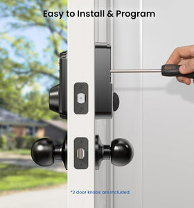 Matte black Veise lock finish enhancing curb appeal on front door