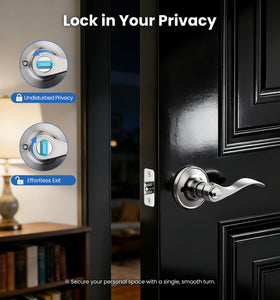 Veise satin nickel lever installed on an exterior door for reliable entry.