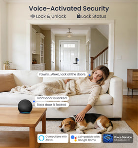 Veise VE012W voice control with Alexa and Google Assistant.